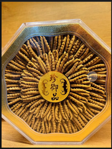 金壇回收冬蟲夏草