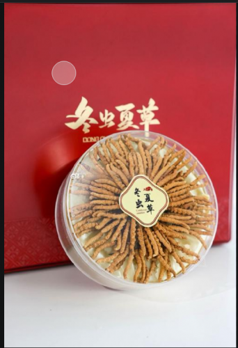 金壇回收冬蟲夏草  