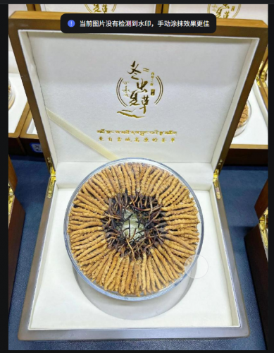 金壇回收冬蟲夏草